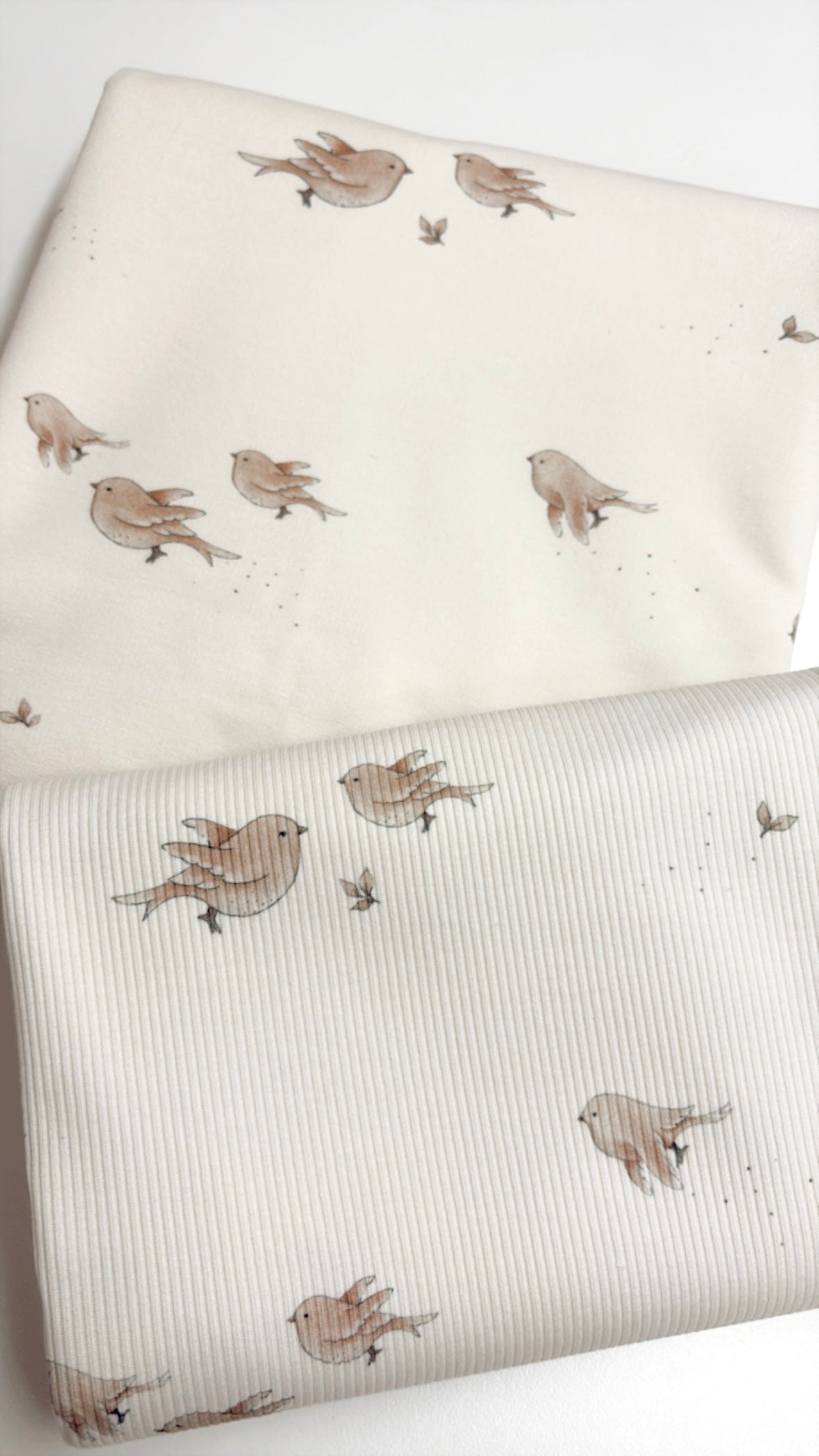 Vorbestellung ! Bio Jersey little birds Eigenproduktion Reaktivdruck