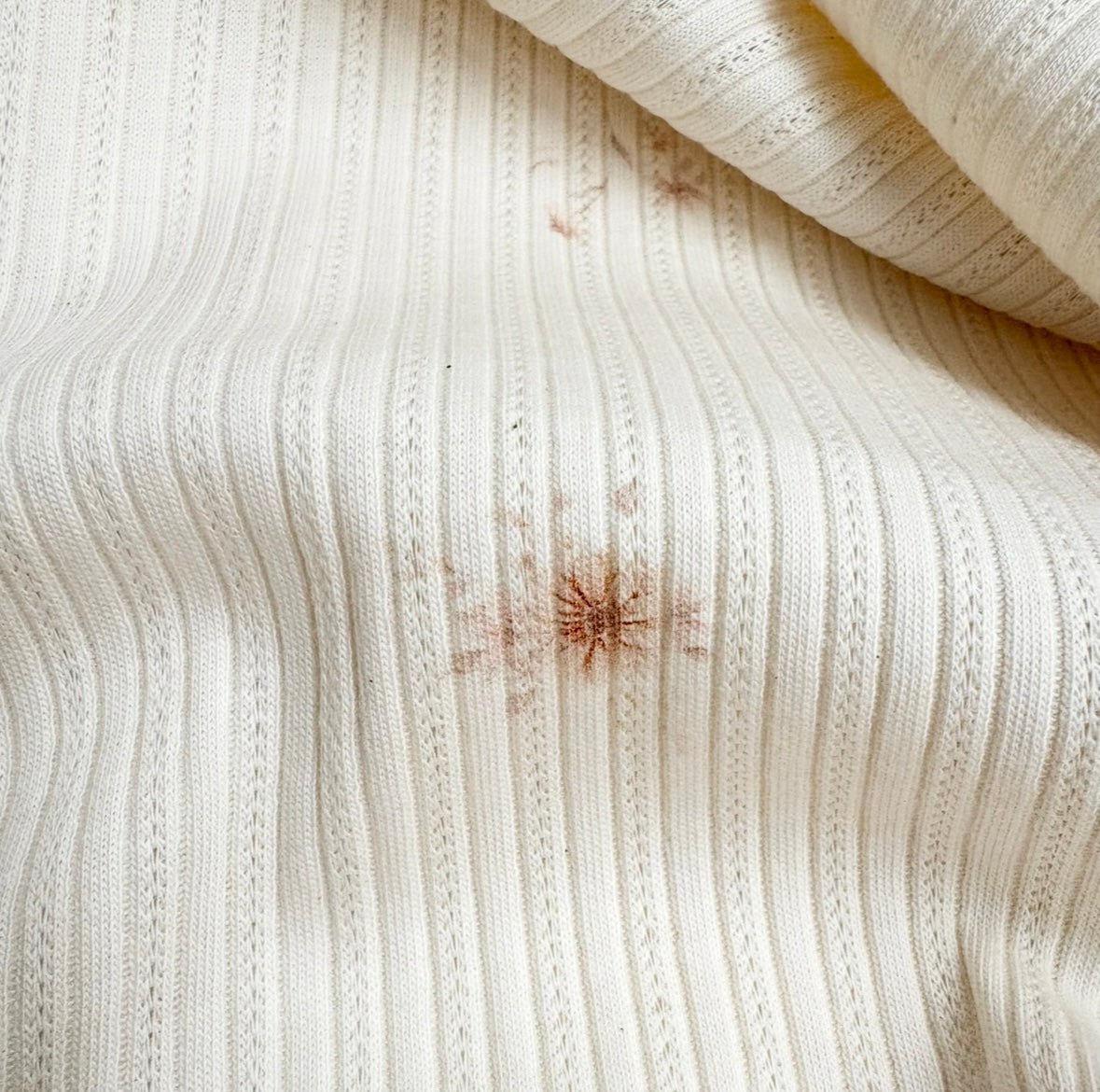 B- Ware Pointoille Jersey Blumen